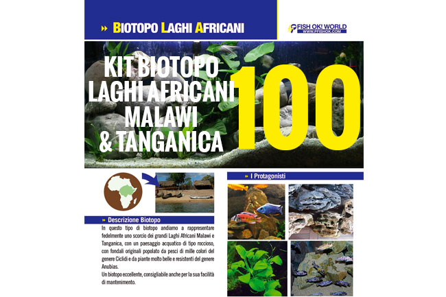 (KITBIOMALAWI100) KIT ARREDO BIOTOPO LAGHI AFRICANI MALAWI & TANGANICA 100 - immagine 2