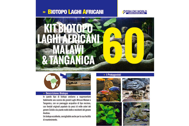 (KITBIOMALAWI60) KIT BIOTOPO LAGHI AFRICANI MALAWI & TANGANICA 60 - immagine 2